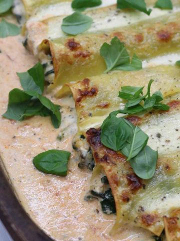 Chicken spinach and ricotta cannelloni in large oven dish with basil leaves