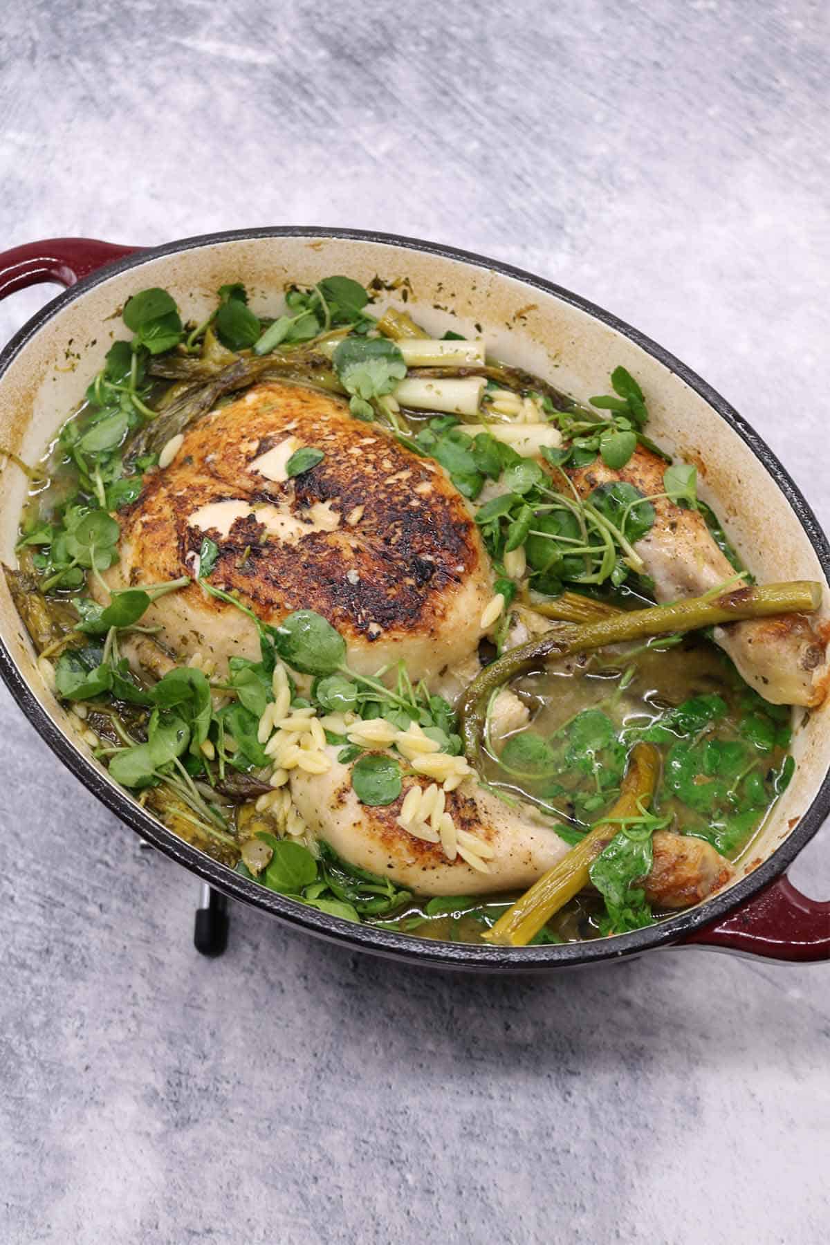 Spring Chicken and Orzo Pot Roast
