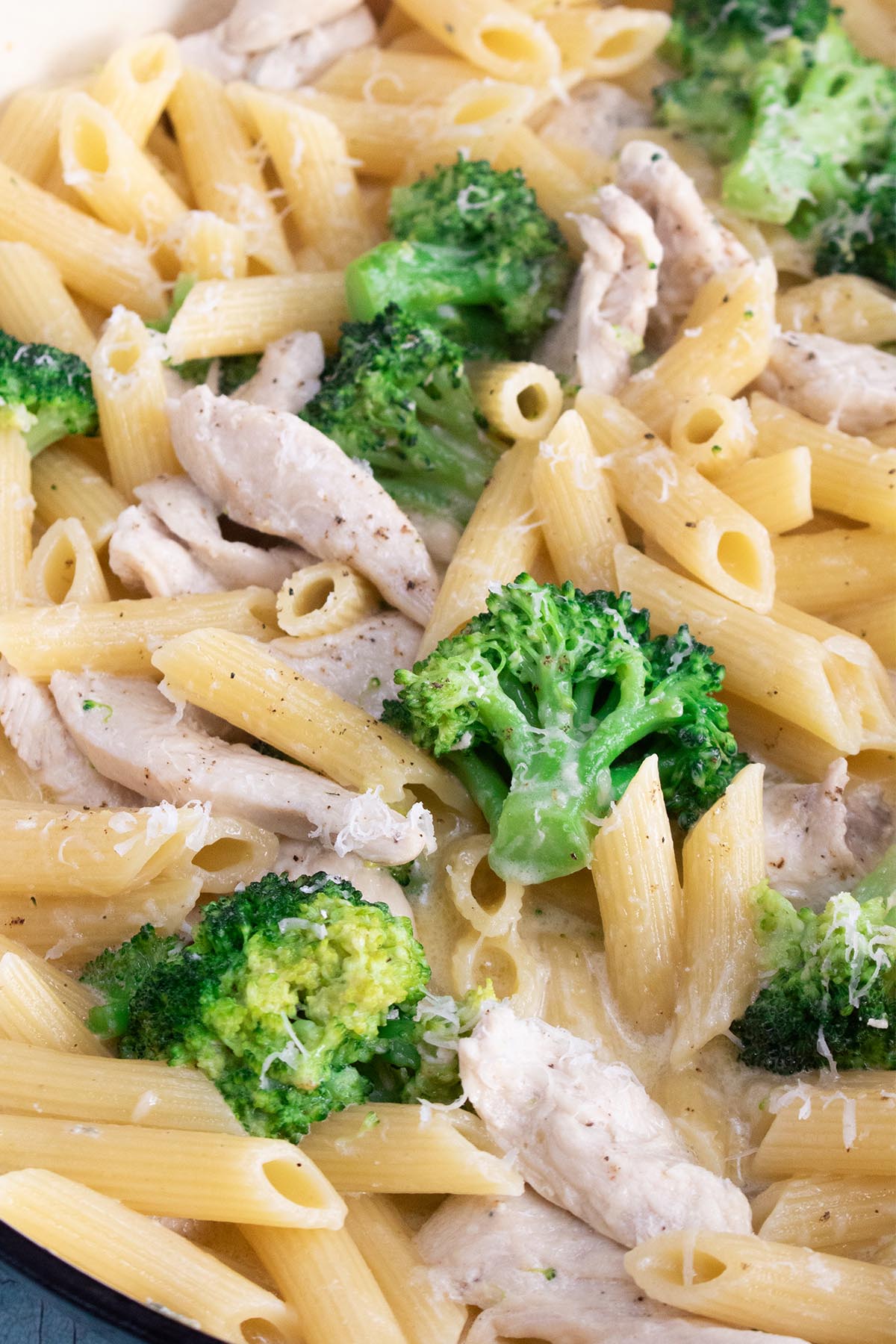 close up of Chicken and broccoli pasta