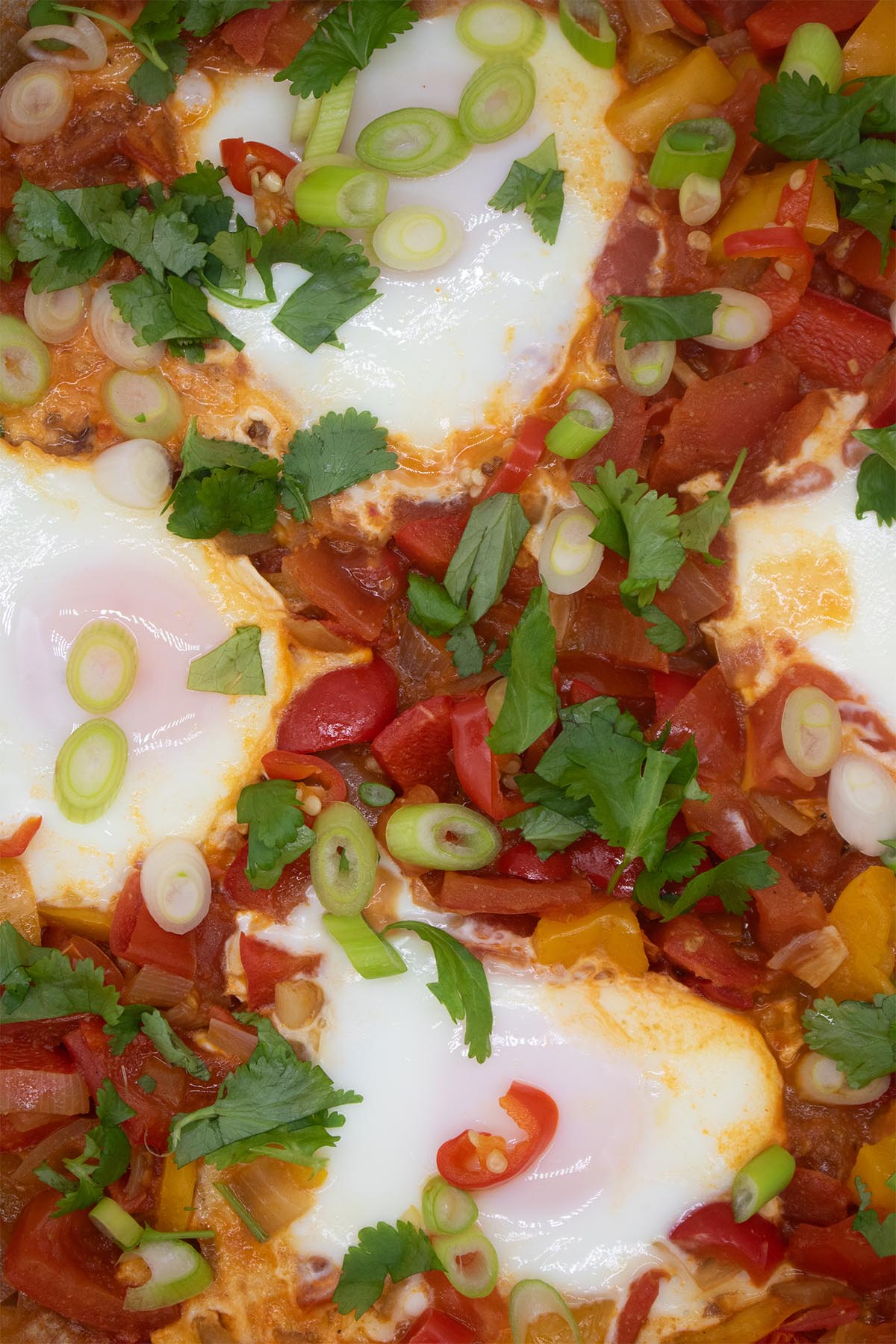 close up of Eggs in a tomato and pepper sauce