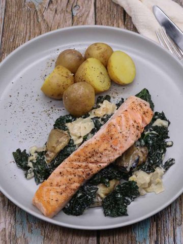 fillet of salmon with creamy artichoke sauce and new potatoes on a grey plate